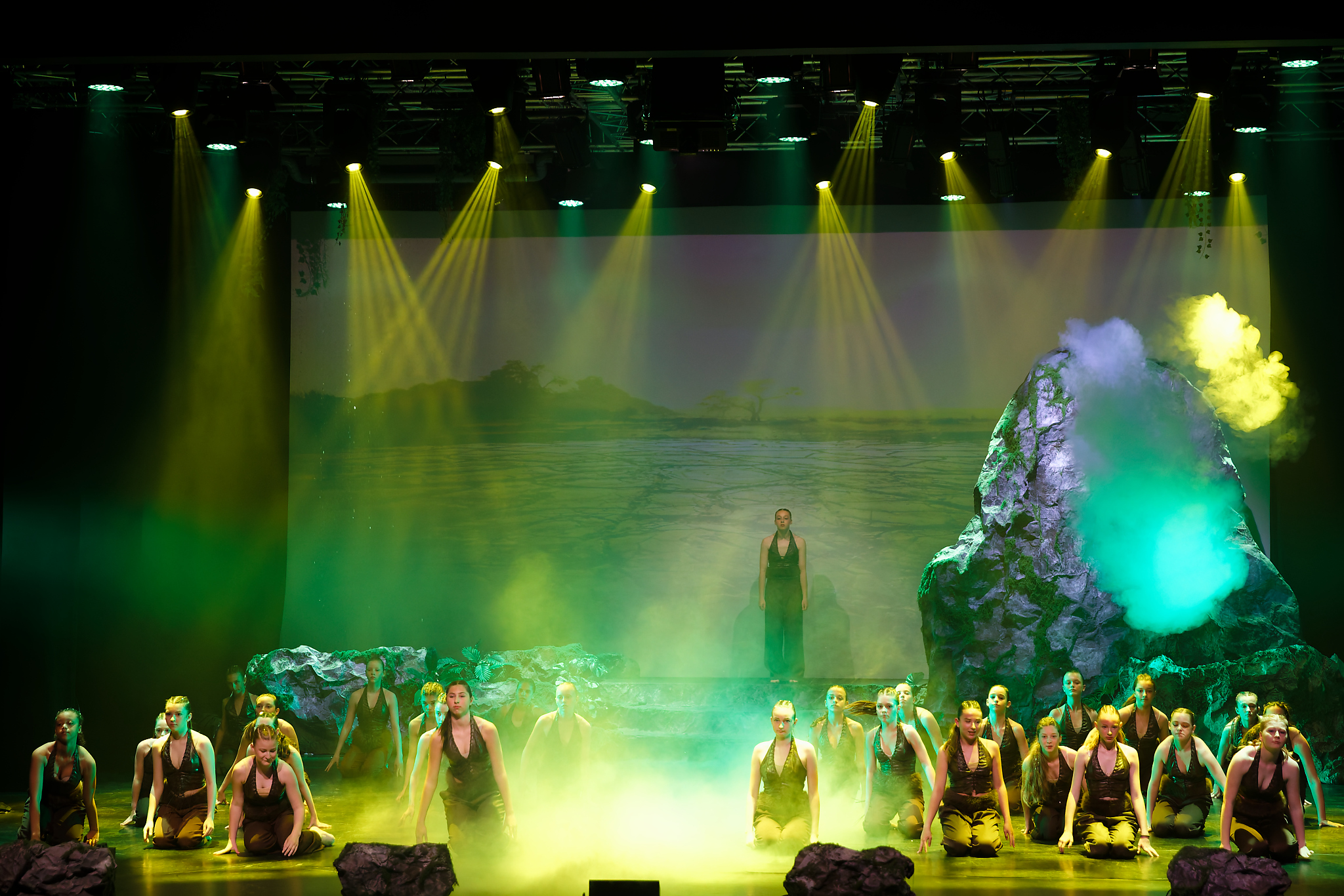 Photo 41