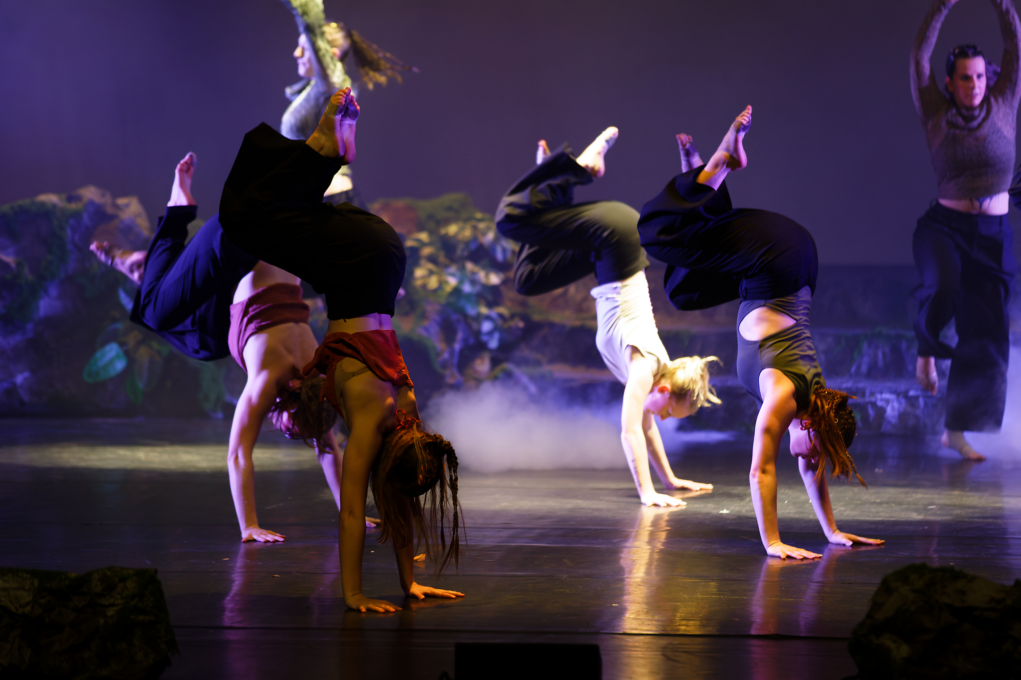 Photo 305
